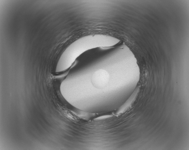 X0000061140566200512022250