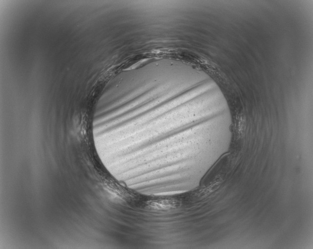 X0000061140567200512022250