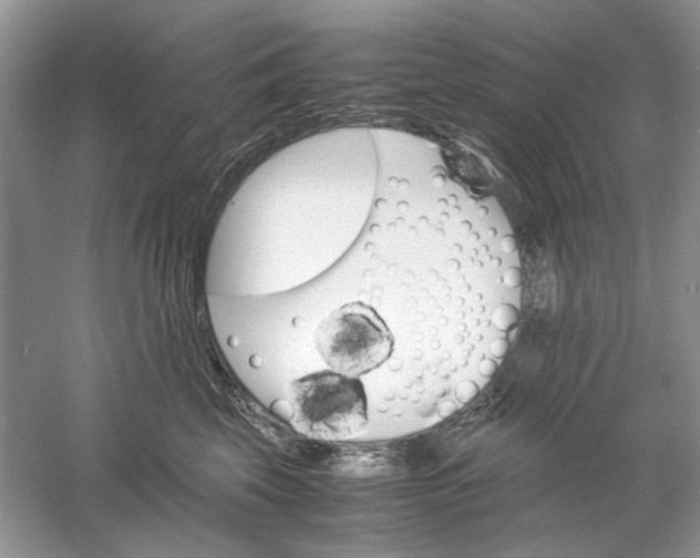 X0000061140569200512022250