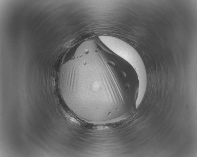 X0000061140570200512022250