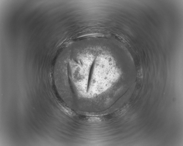 X0000061140572200512022250