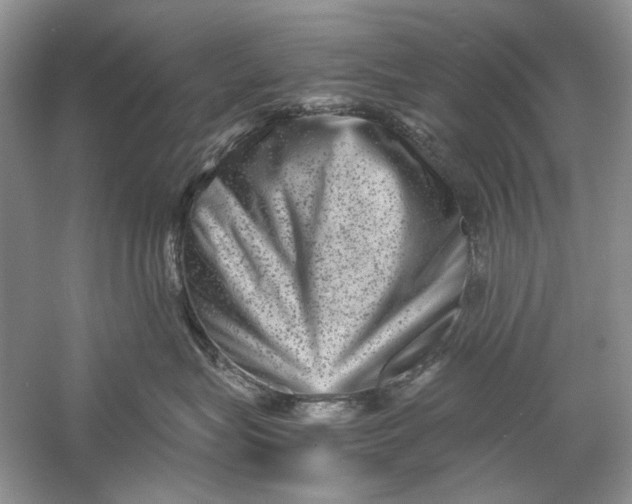 X0000061140575200512022251