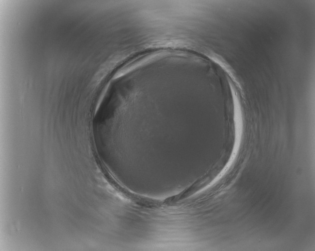 X0000061140577200512022250