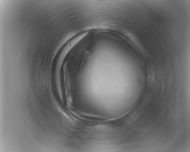 X0000061140578200512022250