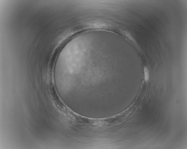 X0000061140579200512022250