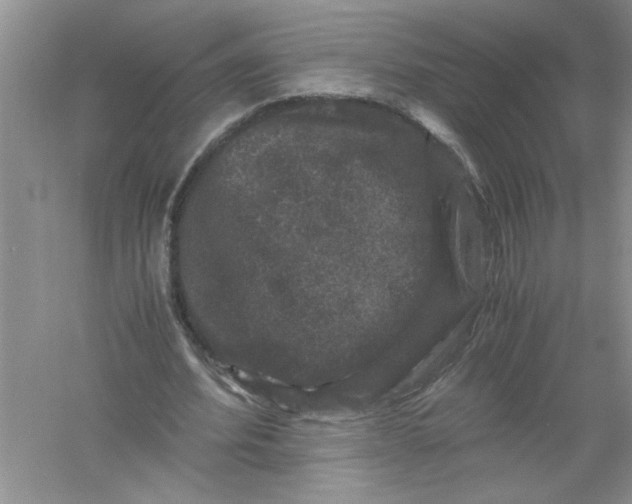 X0000061140580200512022250