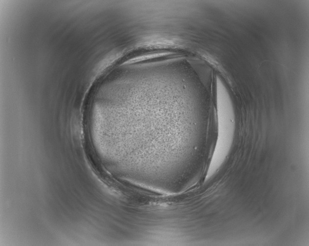 X0000061140582200512022250