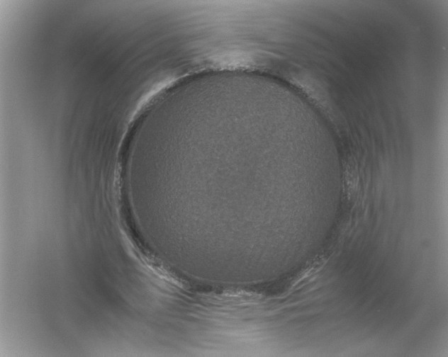 X0000061140583200512022250