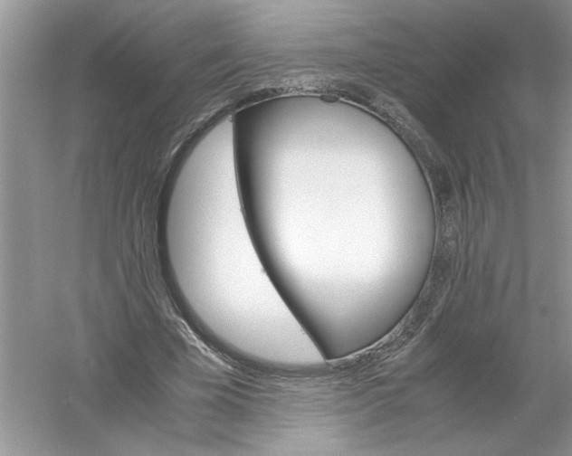 X0000061140585200512022250