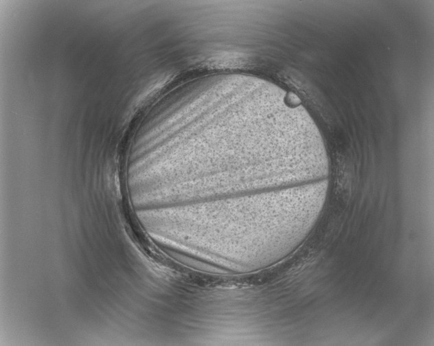 X0000061140586200512022250