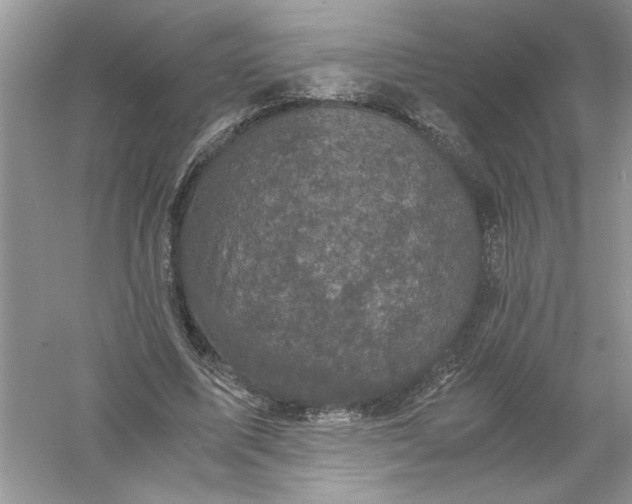 X0000061140587200512022250