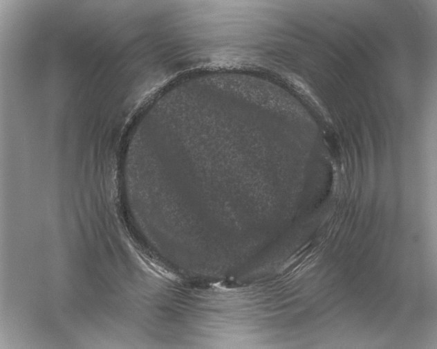 X0000061140588200512022250