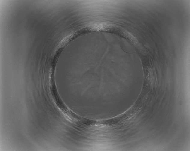 X0000061140590200512022249