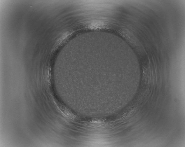 X0000061140592200512022249