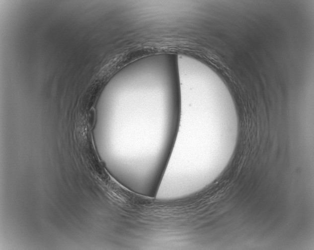 X0000061140593200512022249