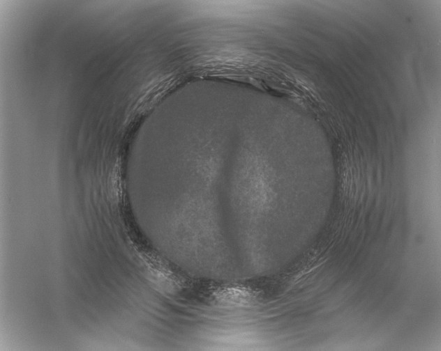 X0000061140594200512022249