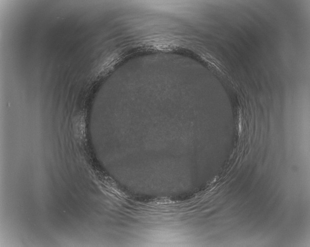 X0000061140595200512022249