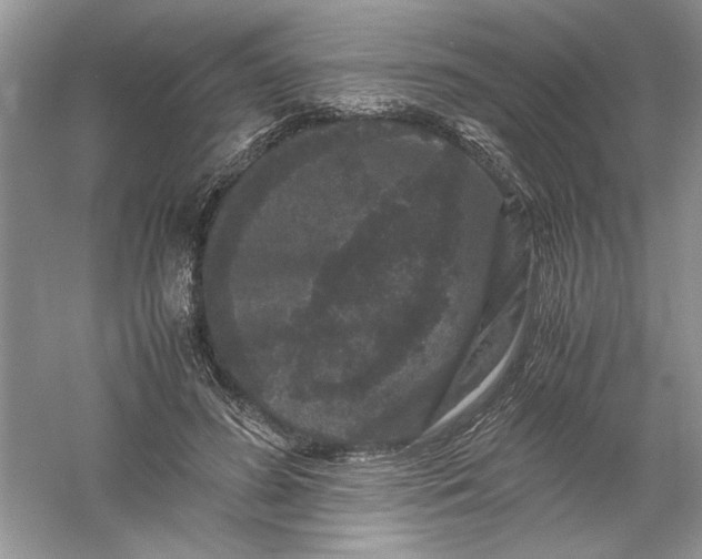 X0000061140596200512022249