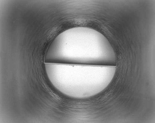 X0000061140597200512022249