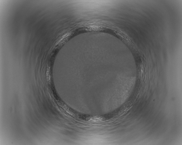 X0000061140599200512022249