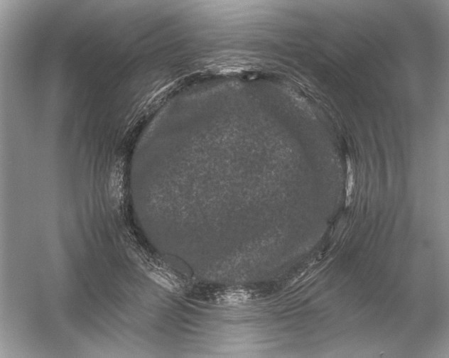 X0000061140600200512022249