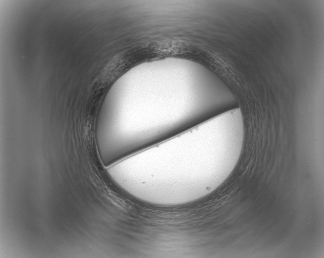 X0000061140601200512022249