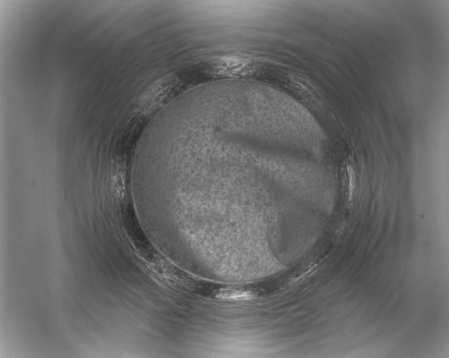 X0000061140602200512022249