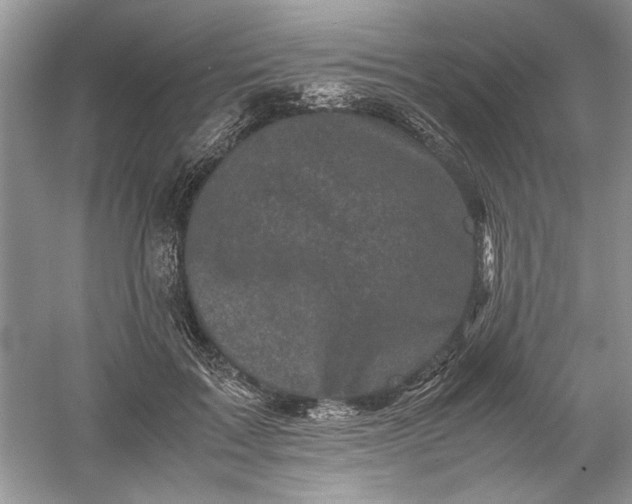 X0000061140603200512022249