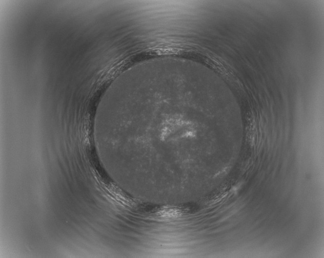 X0000061140604200512022249