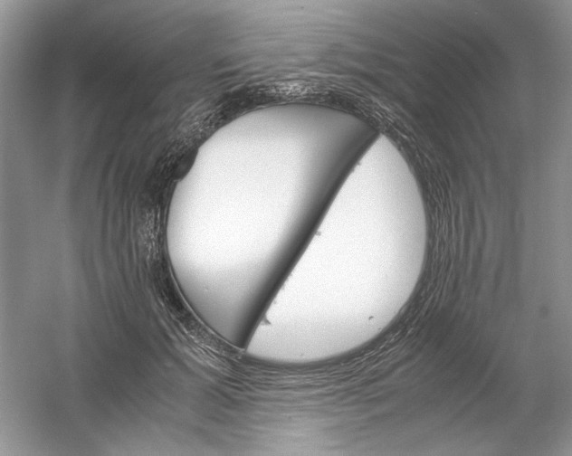 X0000061140605200512022249