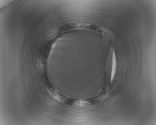 X0000061140607200512022249