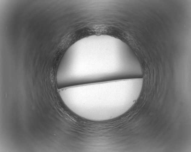 X0000061140609200512022249