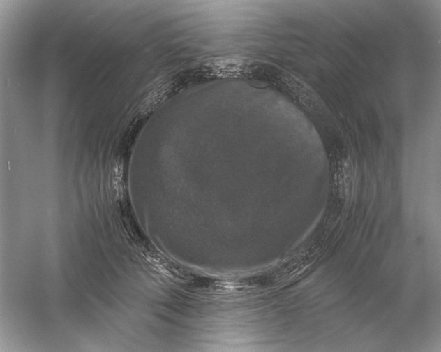 X0000061140610200512022249