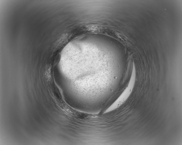 X0000061140611200512022249