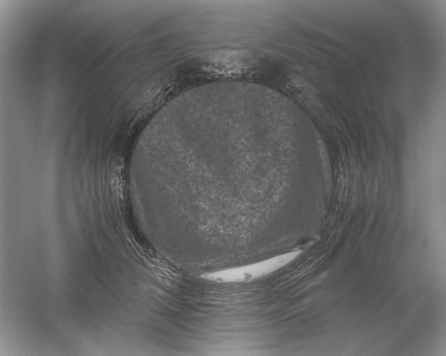 X0000061140612200512022249