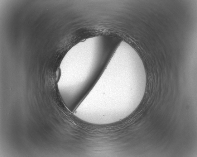 X0000061140613200512022249