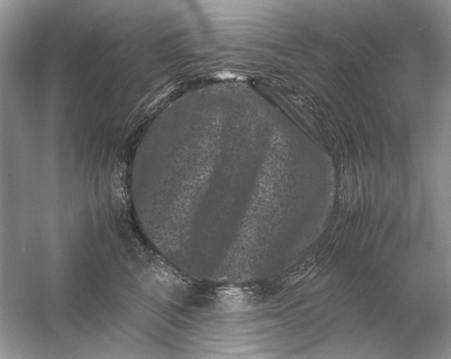 X0000061140616200512022249