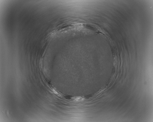 X0000061140621200512022249