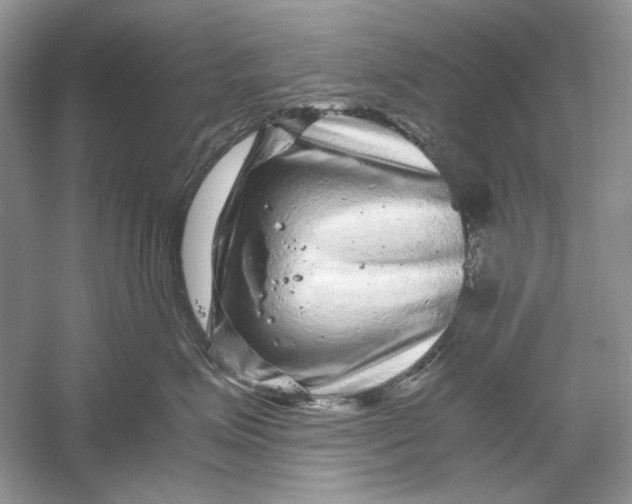 X0000061140623200512022249