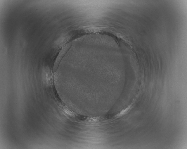 X0000061140624200512022249