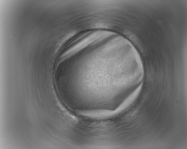 X0000061140625200512022248