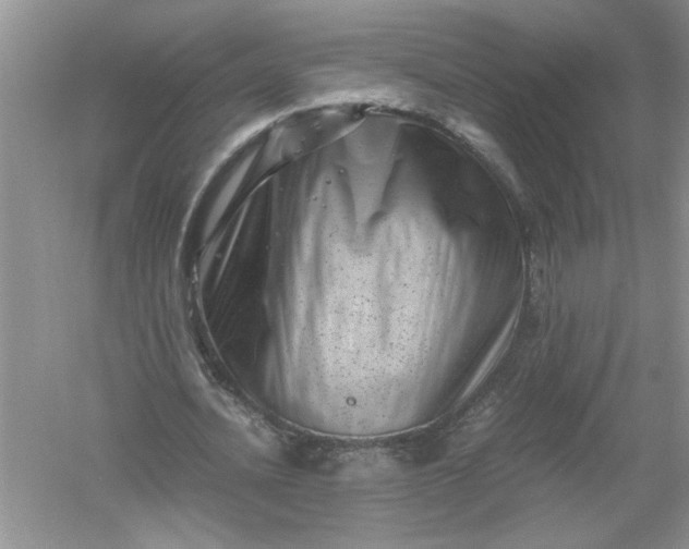 X0000061140628200512022248