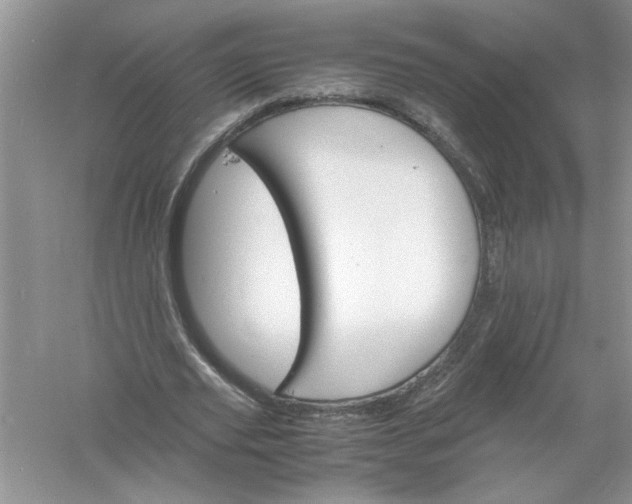 X0000061140629200512022248