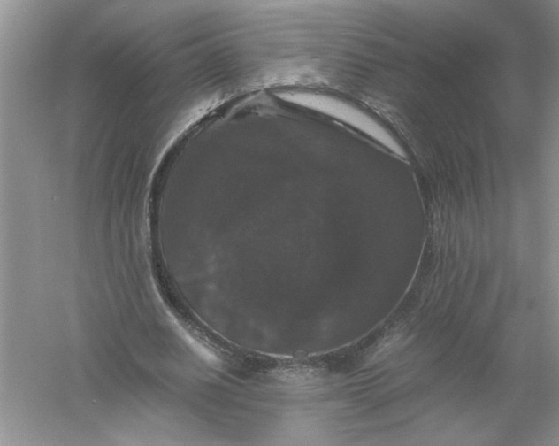 X0000061140630200512022248