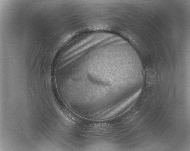 X0000061140631200512022248