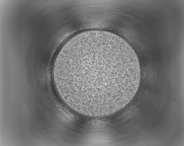 X0000061140632200512022248