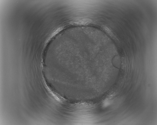 X0000061140634200512022248