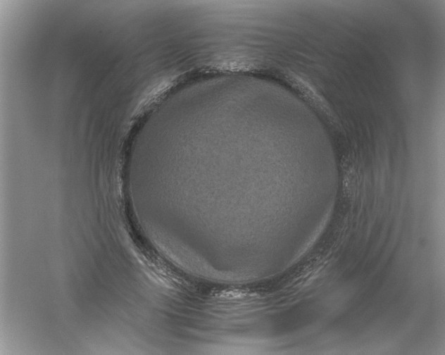 X0000061140635200512022248