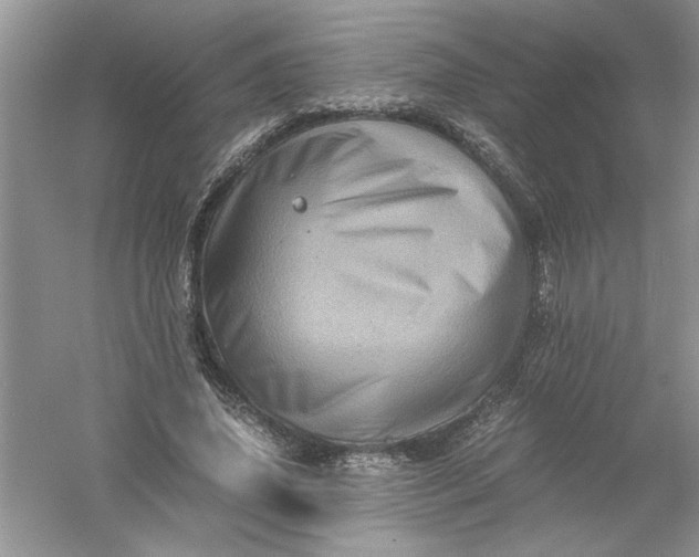 X0000061140636200512022248