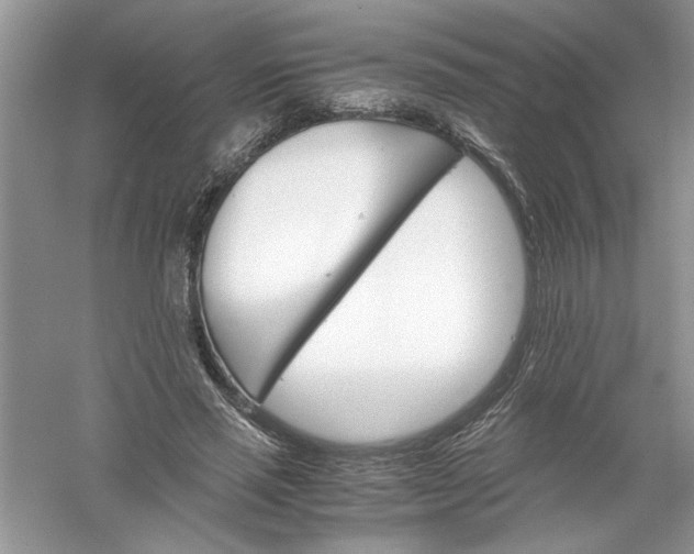 X0000061140637200512022248